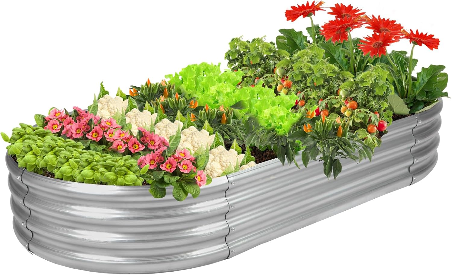 Овальная оцинкованная грядка-к – обзор и цена Planter Raised Metal